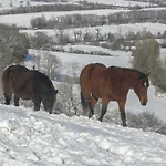 Le Des Oiseaux Montbernard