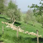 Le Des Oiseaux Prázdninový dům Montbernard