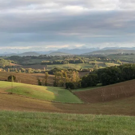 Le Des Oiseaux Montbernard