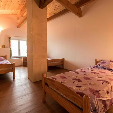 Le Des Oiseaux Montbernard