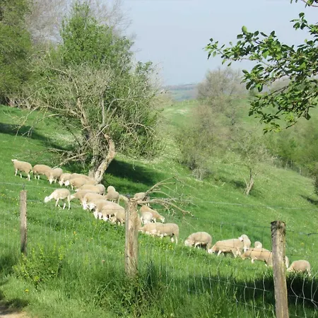 Le Des Oiseaux בית נופש Montbernard