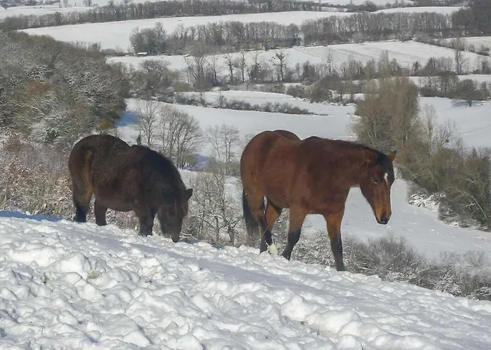 Le Des Oiseaux Montbernard