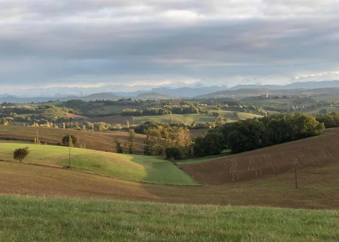 Le Des Oiseaux Montbernard