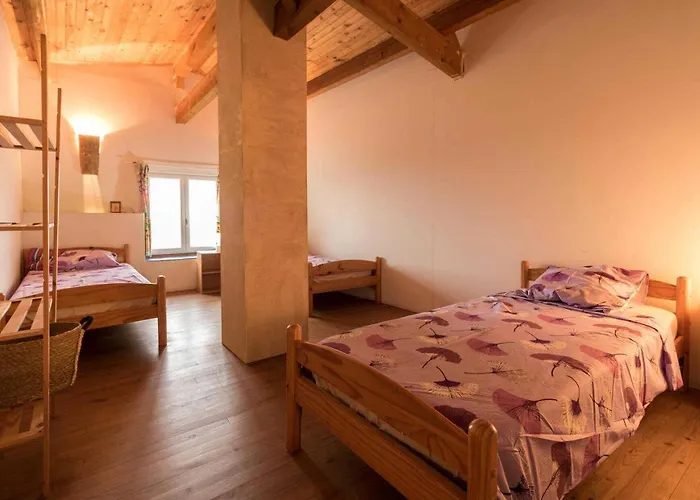 Le Des Oiseaux Montbernard