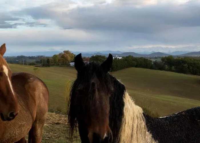 Le Des Oiseaux Holiday home