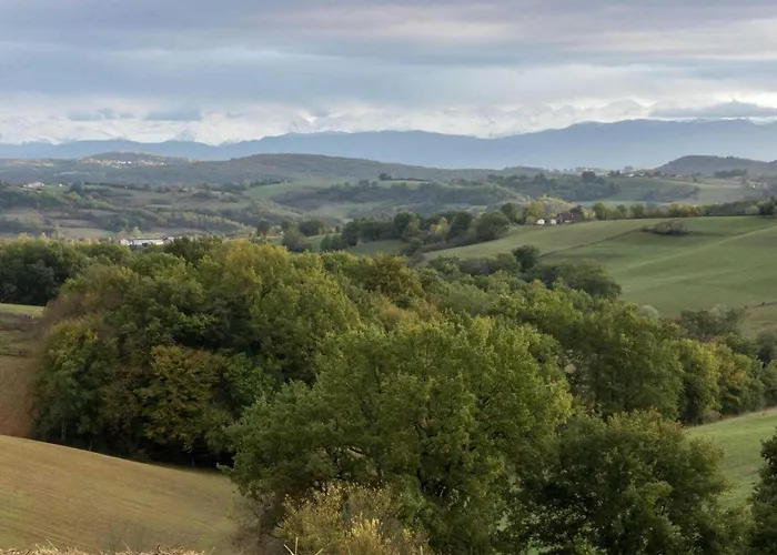 Le Des Oiseaux Holiday home