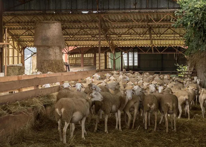 Le Des Oiseaux Holiday home