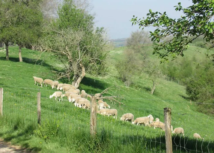 Le Des Oiseaux Holiday home Montbernard