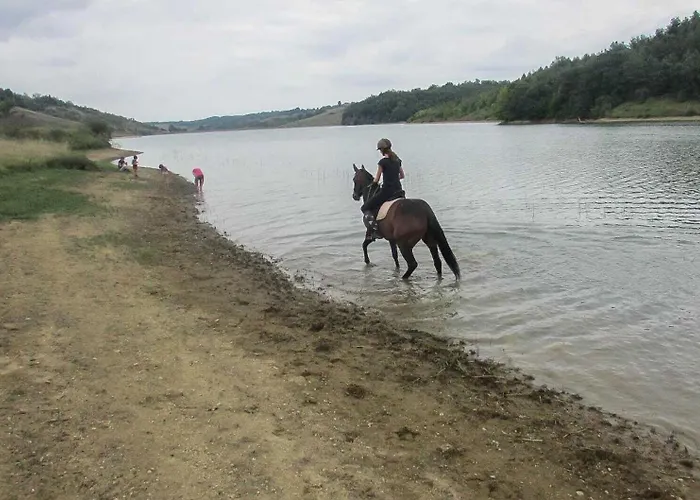 Le Des Oiseaux Holiday home *