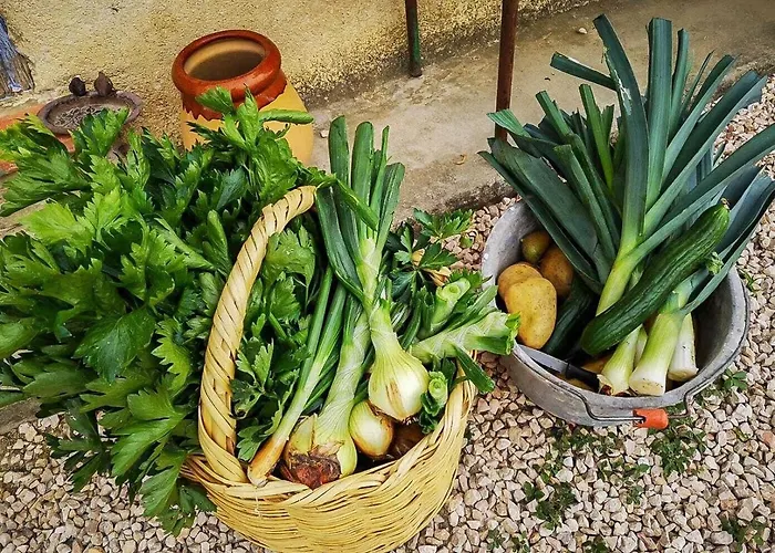 Le Des Oiseaux Holiday home