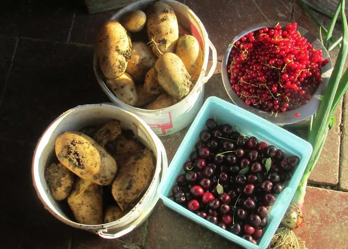 Le Des Oiseaux Holiday home *