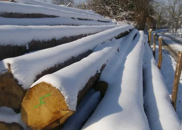 Le Des Oiseaux Holiday home Montbernard